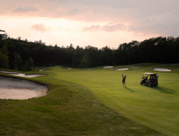 Male golfer taking a swing on a fairway at Lake Winnipesaukee Golf Club.